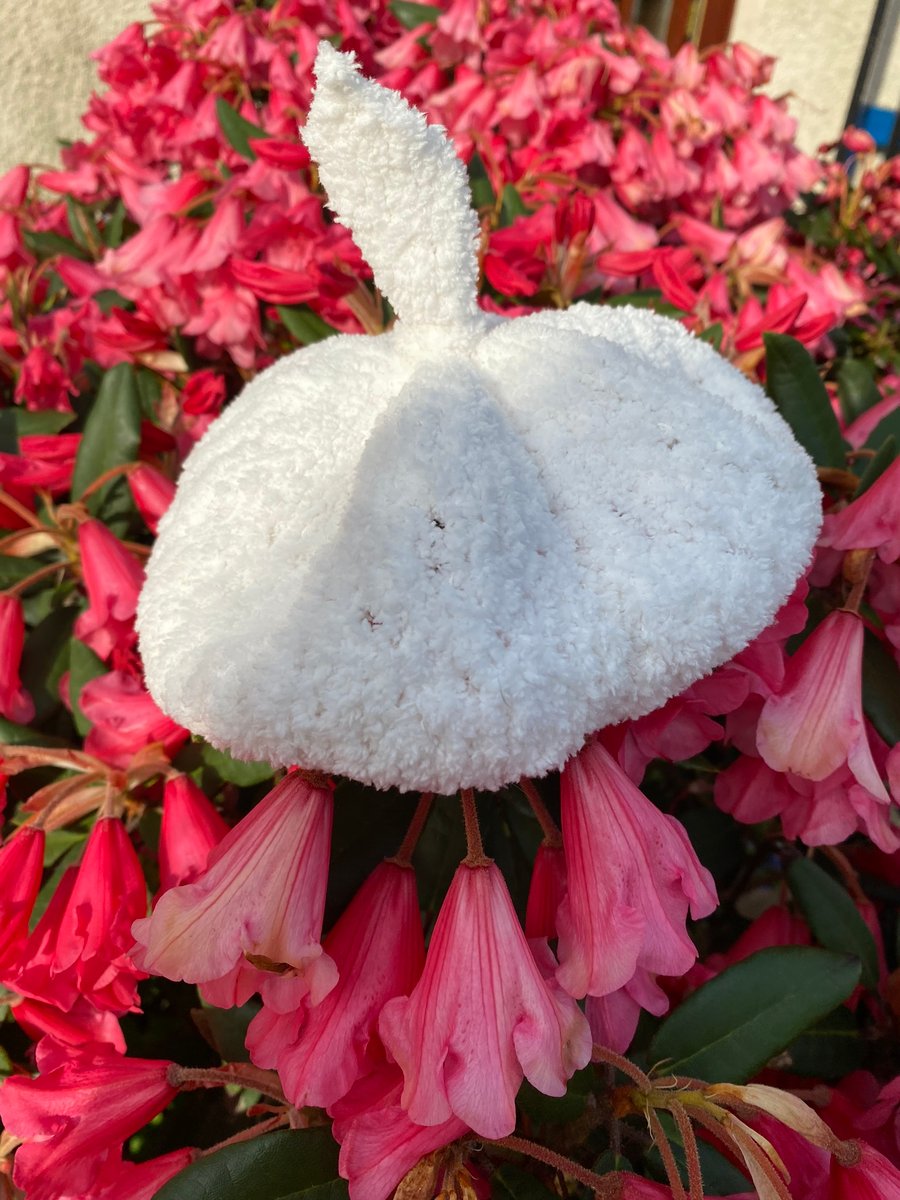 Snowball lacy baby beret