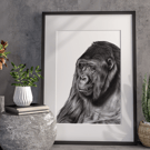 Fine art giclée print of a Gorilla