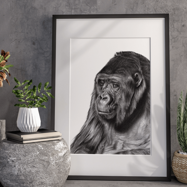 Fine art giclée print of a Gorilla
