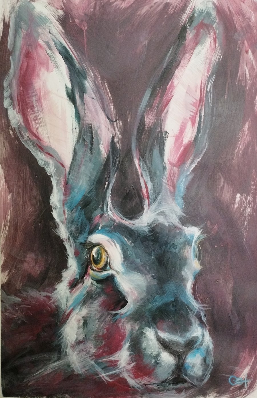Pink Hare