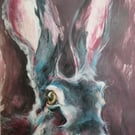 Pink Hare
