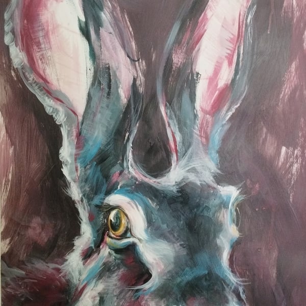 Pink Hare