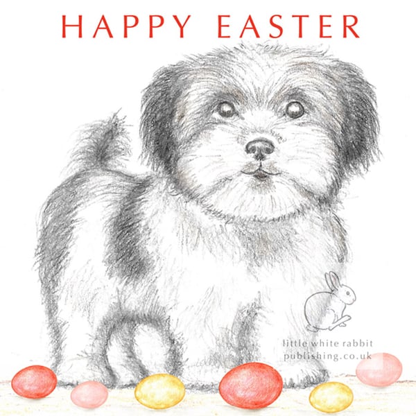 Dylan the Little Dog - Easter Card