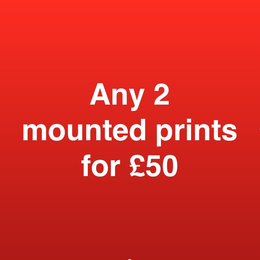 ANY 2 mounted prints for fifty pounds FREE DELIVERY