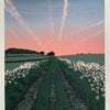 'Cow Parsley Lane' original screen print - MISPRINT