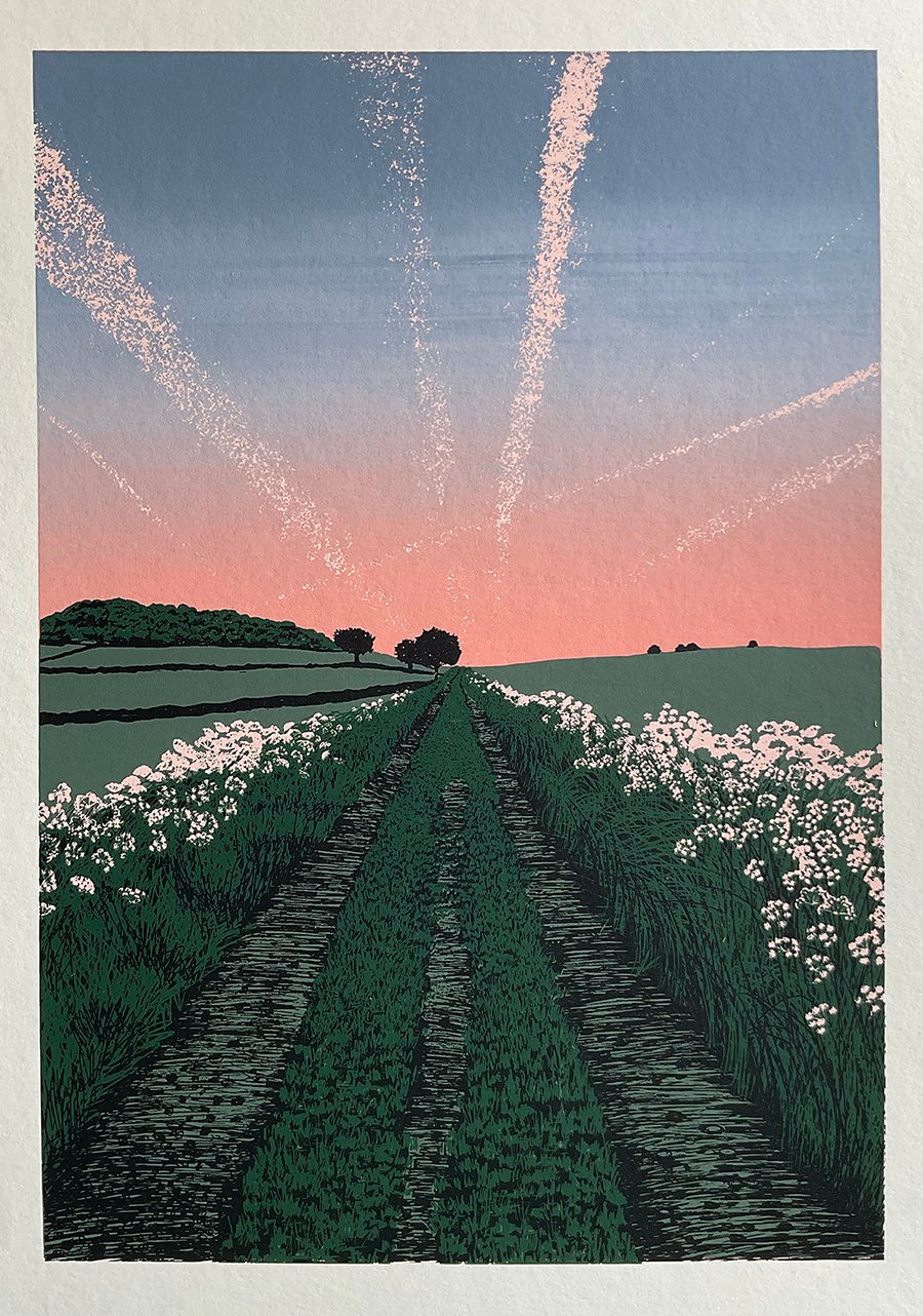 'Cow Parsley Lane' original screen print - MISPRINT