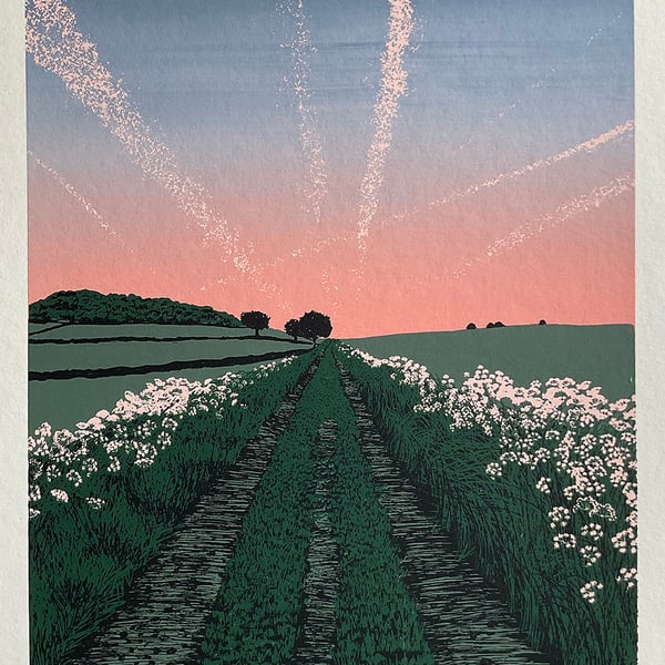 'Cow Parsley Lane' original screen print - MISPRINT