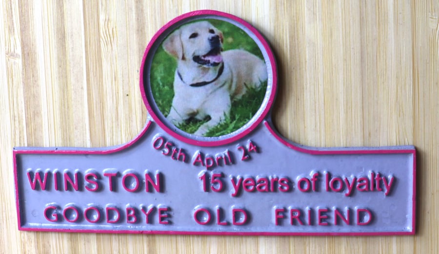 Pet Memorial with actual picture