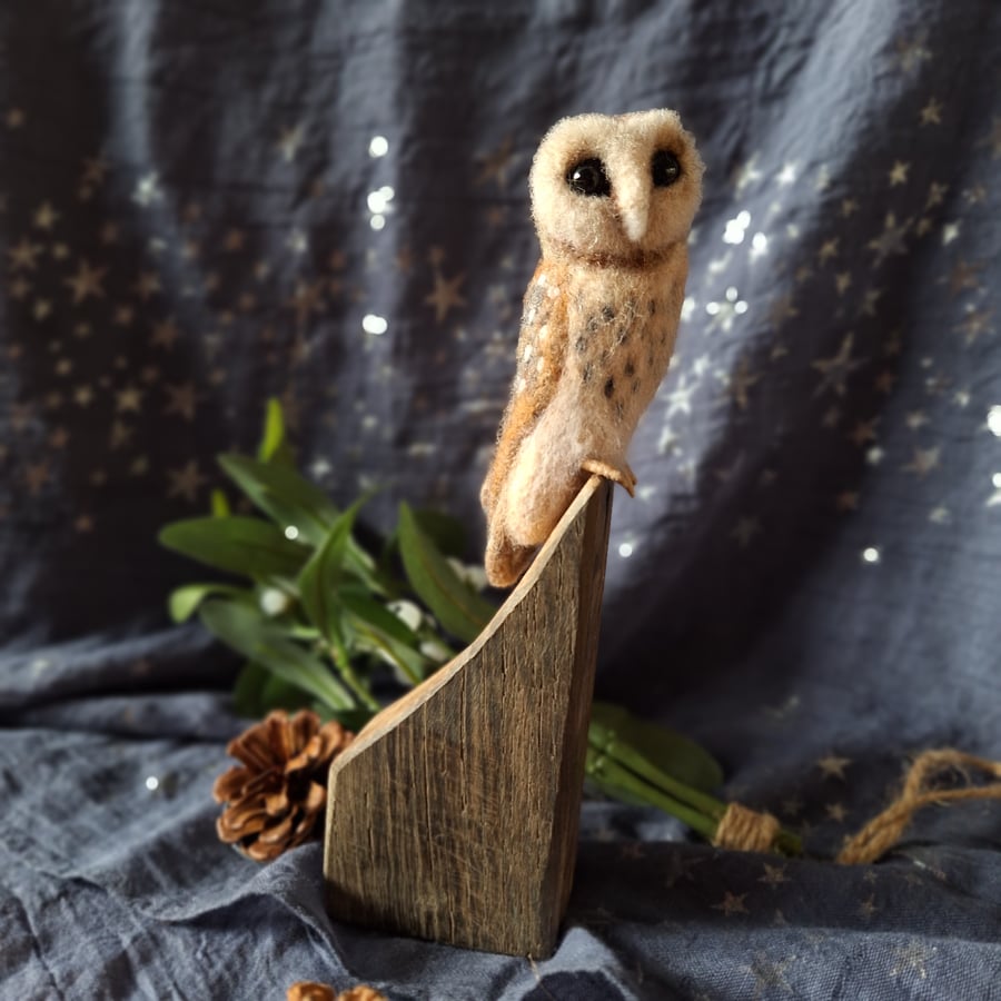 Barn Owl on Oak Cask Offcut
