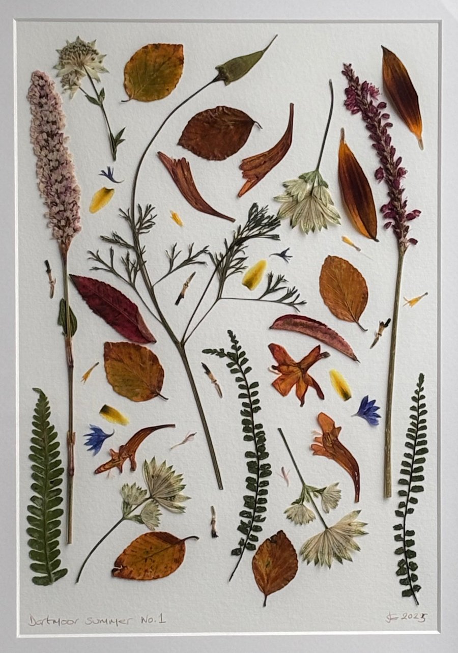 Pressed flowers from Dartmoor