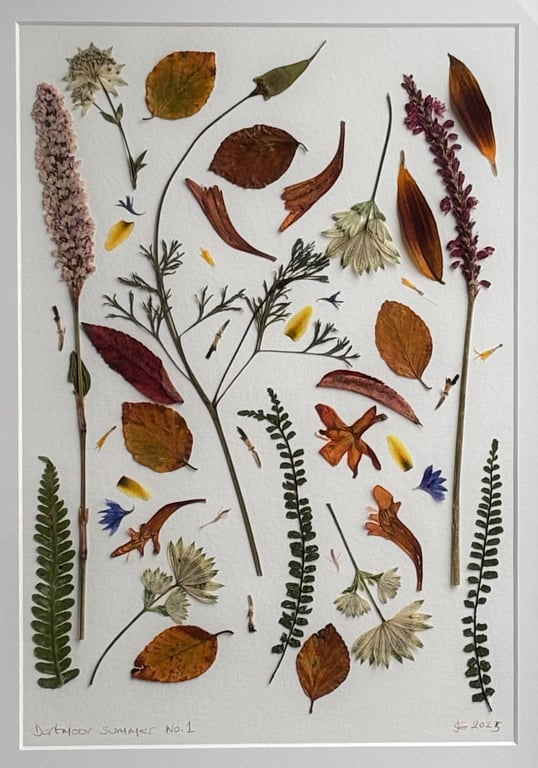 Pressed flowers from Dartmoor