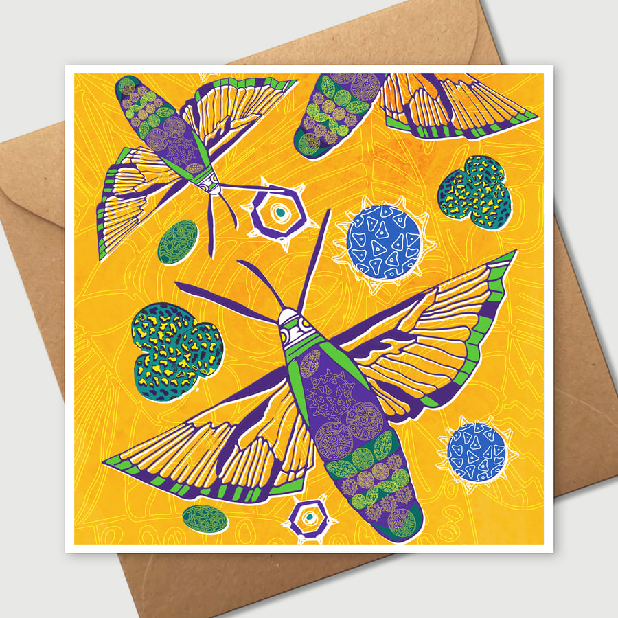 Moths Minimum 5 Cards