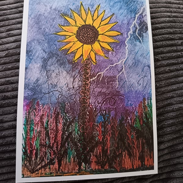 Sunflower in a Storm:  A4 art print 
