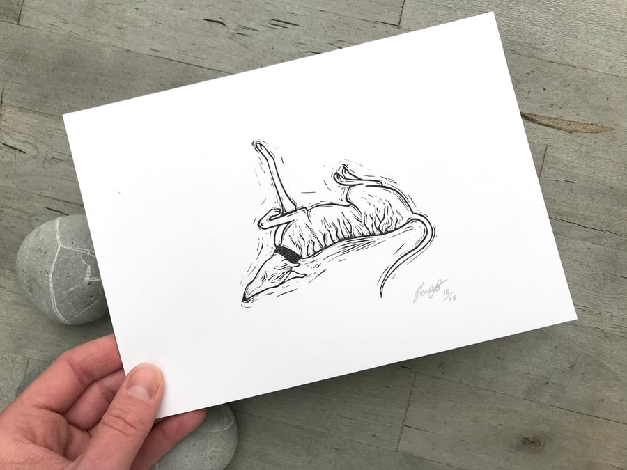 Lurcher print 'Lazy Days' original lino cut by artist Beth Knight.