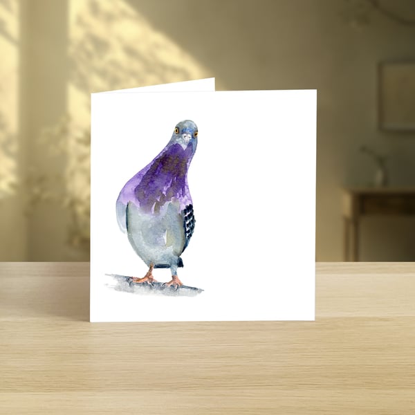 Curious Pigeon greeting card (blank)