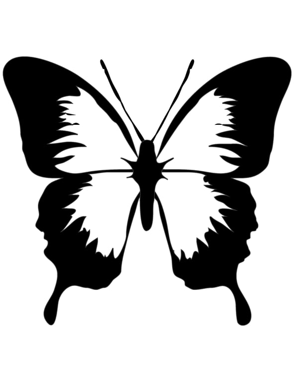 The Chiltern Flutterby