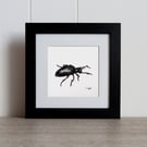 Oil beetle original charcoal drawing, entomology art bug lovers gift