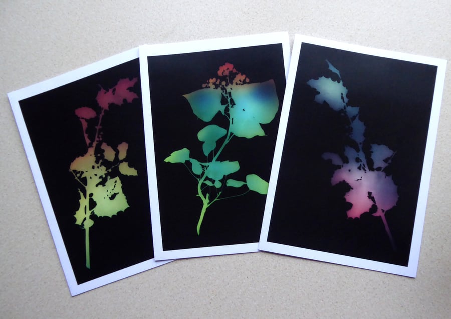 Pack of 3 Holly & Ivy Christmas Cards A5 size 