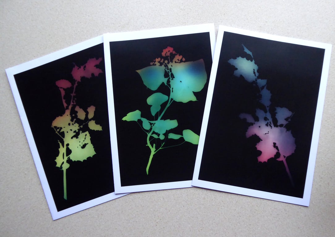 Pack of 3 Holly & Ivy Christmas Cards A5 size 