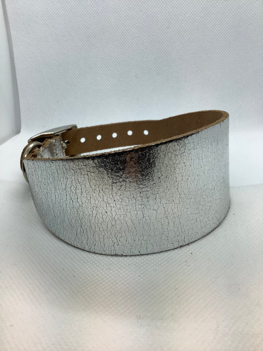  Greyhound or  Whippet collar in Silver Leather 