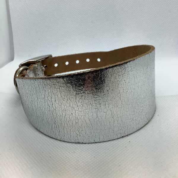  Greyhound or  Whippet collar in Silver Leather 