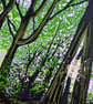 'Sunlight through the trees' original screen print - Image 2