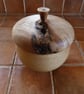 SMALL LIDED KITCHEN CONTAINER - Image 1