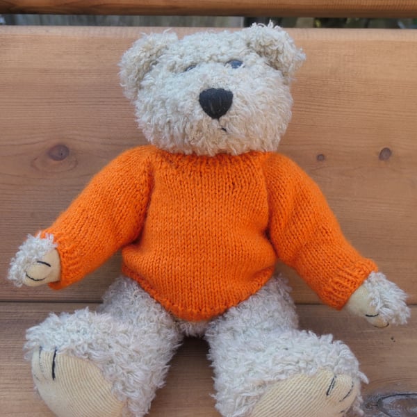 Teddy Bear Jumper