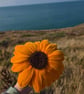 Handmade Everlasting Sunflower – Single Stem - Image 2