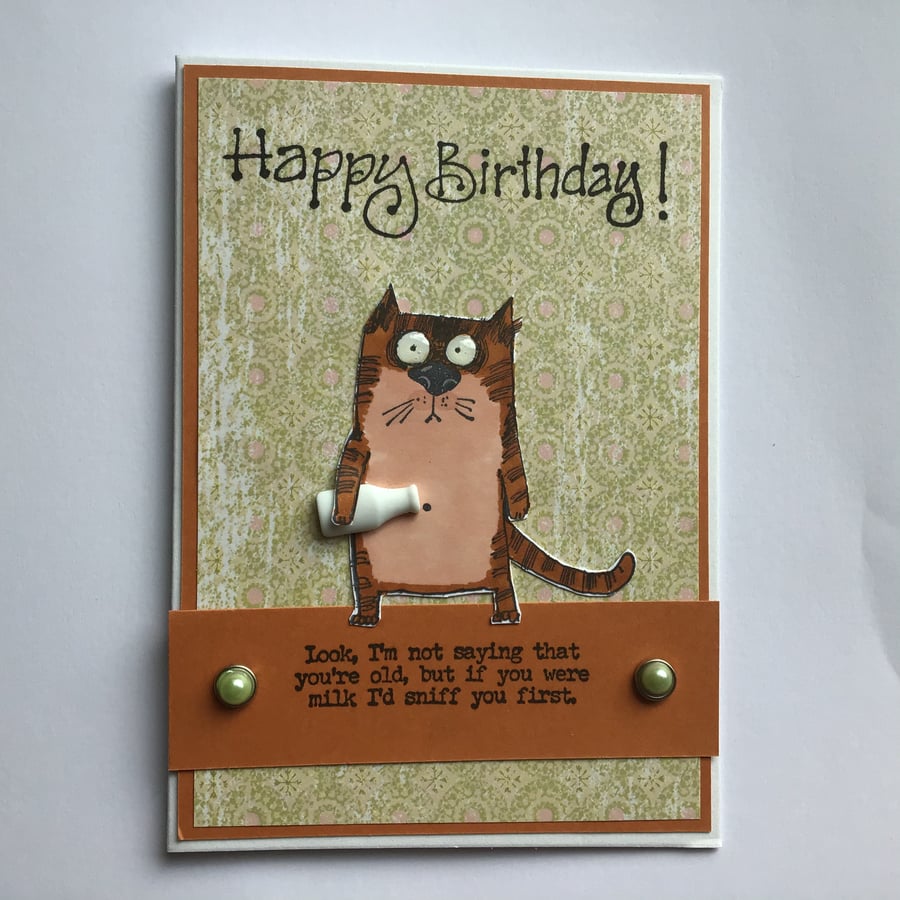 Cat Birthday Card - Humorous Cat - Cat Lovers