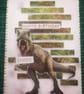 T-Rex personalised Birthday card 
