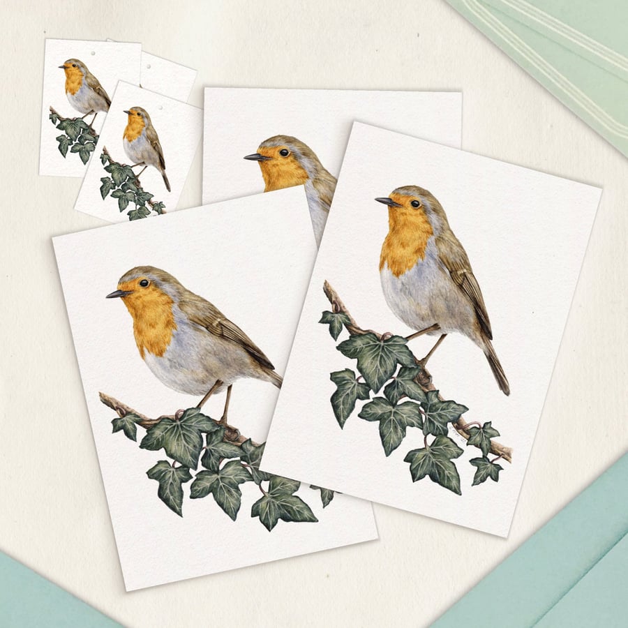 Robin Card & Gift Tag Pack - 3 Blank 5x7" Cards and 6 Tags for Christmas