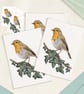 Robin Card & Gift Tag Pack - 5x7" Blank, for Birthday, Anniversary or Christmas
