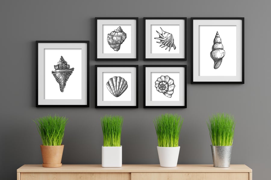 Seahells prints, bathroom wall decor, black and white sea shells illustrations