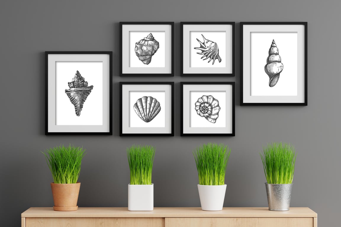 Seahells prints, bathroom wall decor, black and white sea shells illustrations