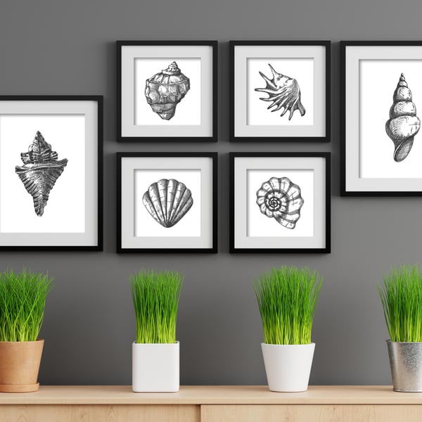 Seahells prints, bathroom wall decor, black and white sea shells illustrations