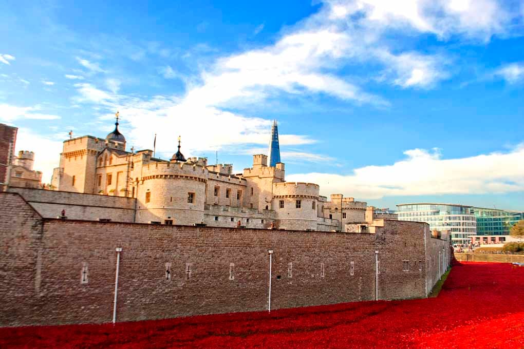Tower of London Red Poppies England UK Photograph Print