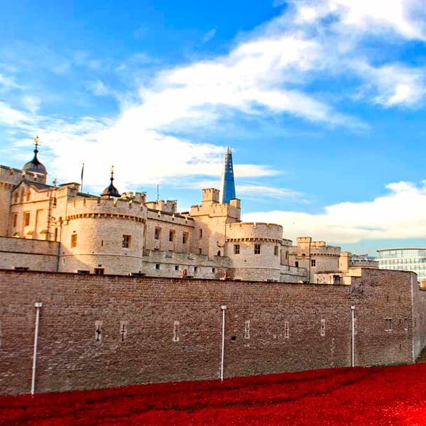 Tower of London Red Poppies England UK Photograph Print