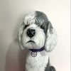 Old English Sheepdog