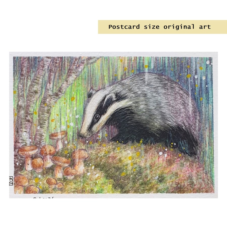 Little Badger finds some Mushrooms, original animal drawing, letterbox art gift