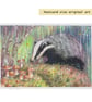 Little Badger finds some Mushrooms, original animal drawing, letterbox art gift
