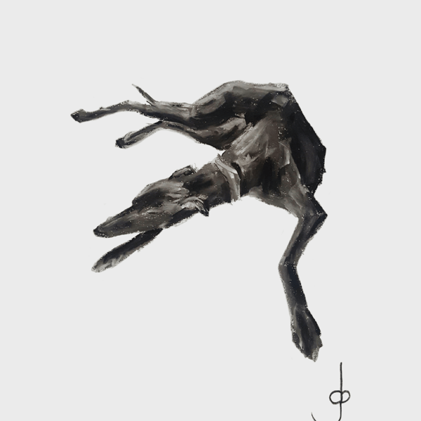 Greyhound lying A5 Art print