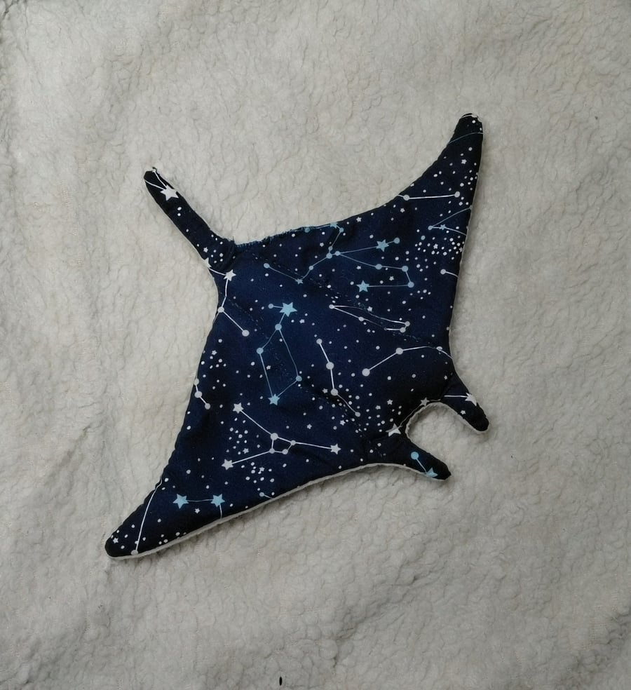Constellation Manta Ray