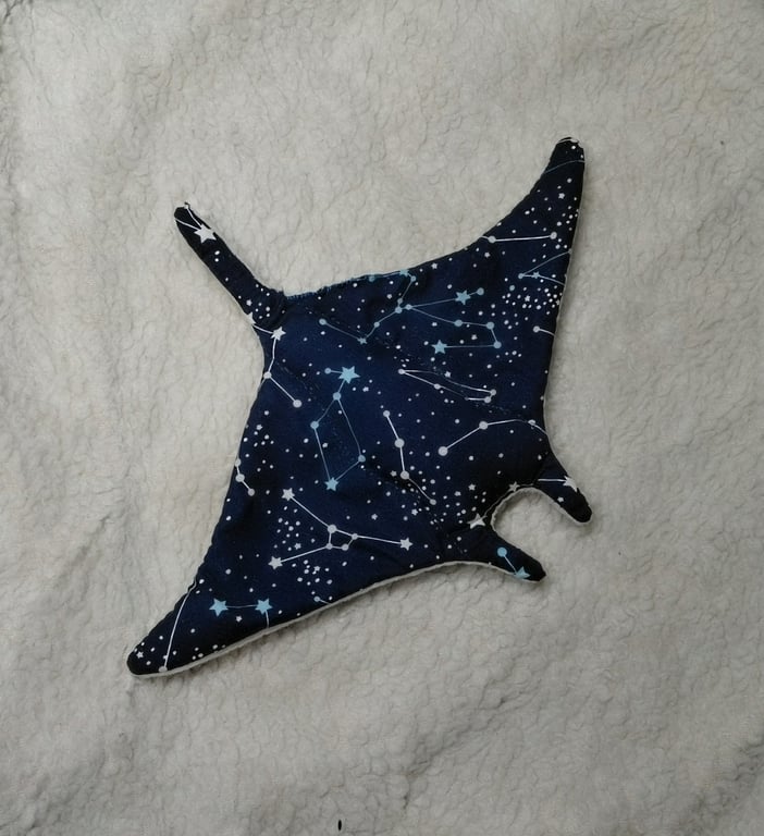 Constellation Manta Ray