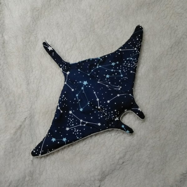Constellation Manta Ray