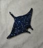 Constellation Manta Ray