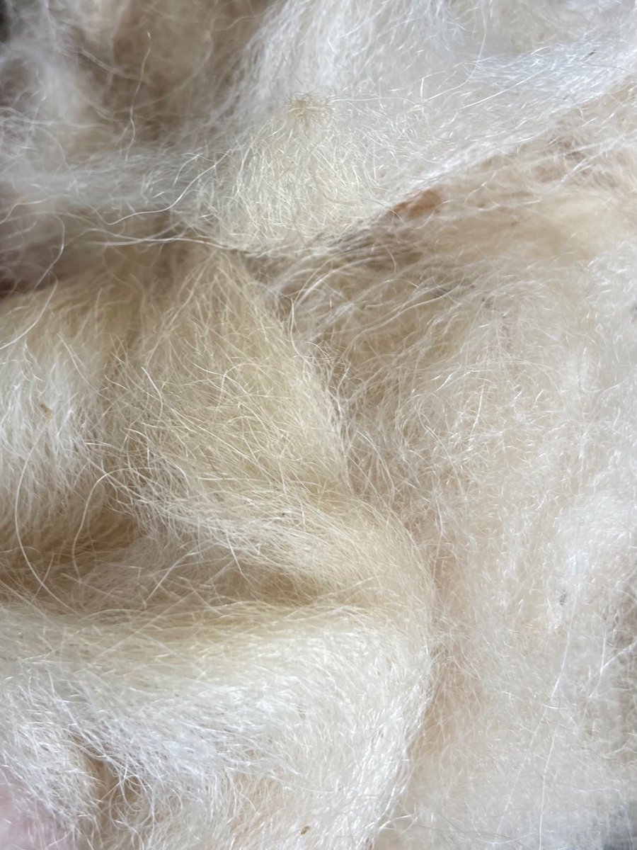 Unprocessed Alpaca Fibre - 50g - Cream. 