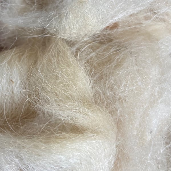 Unprocessed Alpaca Fibre - 50g - Cream. 