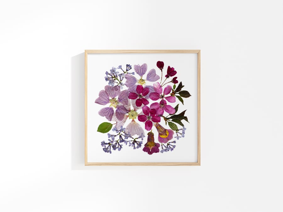 Giclee Art Print 21cm, Pressed Dried Flower art, Lilac, Cherry and Mallow,