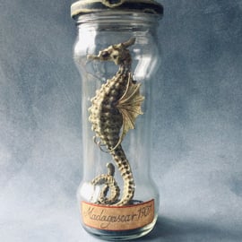 Original Faux Taxidermy Seahorse Sculpture Cthulhu Lovecraft Kaiju OOAK gothic 